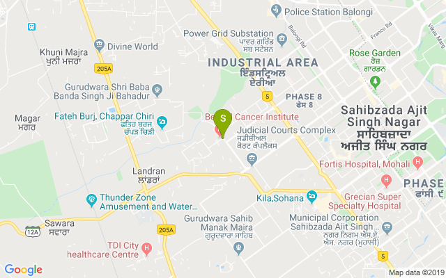 tamzaraa-kafe-club-industrial-area-phase-1-chandigarh