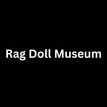 Rag Doll Museum Sector-1 Chandigarh