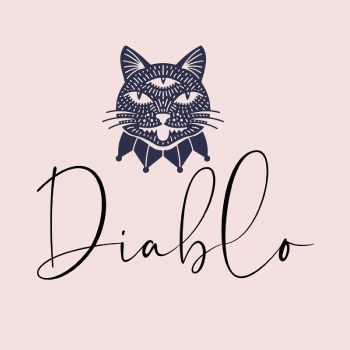 Diablo Sector-29 Chandigarh