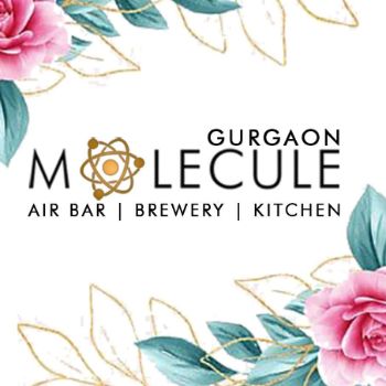 Molecule Air Bar Sector 29 GURGAON