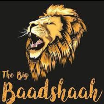 The Big Badshah Marathahalli Bangalore