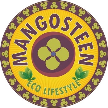 Mangosteen Cafe New Palasiya Indore