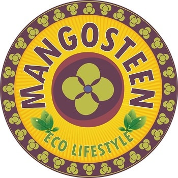 Mangosteen Cafe New Palasiya Indore