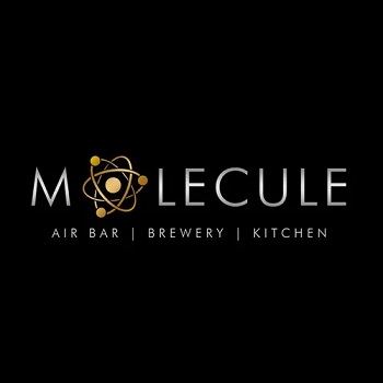 Molecule Air Bar Green Park New Delhi