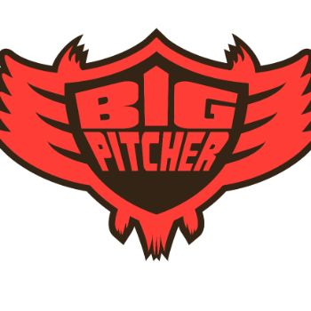 Big Pitcher Sector 29 GURGAON