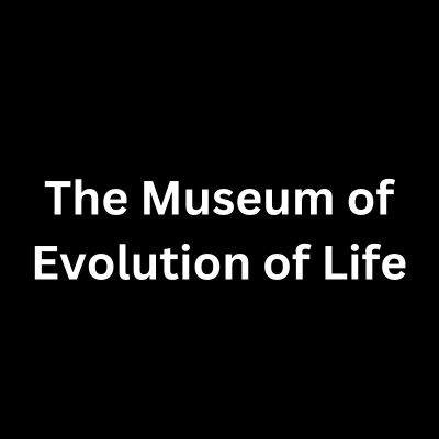 The Museum of Evolution of Life Sector-10 Chandigarh