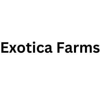 Exotica Farms Lajpat Nagar Zirakpur