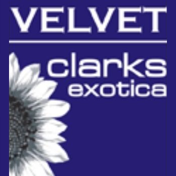 Hotel Velvet Clarks Exotica Zirakpur Ambala - Chandigarh National Highway Zirakpur