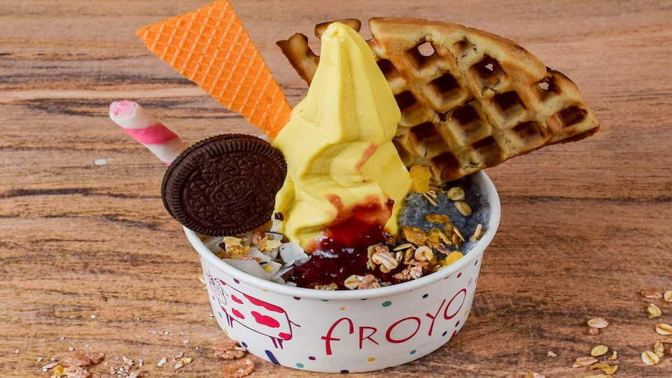 FROYO Frozen Yogurt and Treats Sector-8 Panchkula