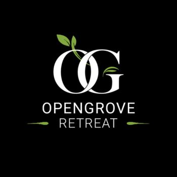 savoir-open-grove-retreat-sector-4-new-chandigarh