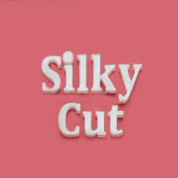 Silky Cut Sector-19 Chandigarh