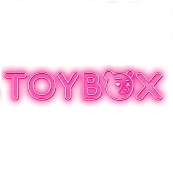 ToyBox Cafe Krishna Nagar Delhi