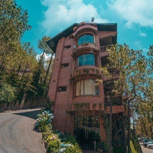 Pine Drive Resort