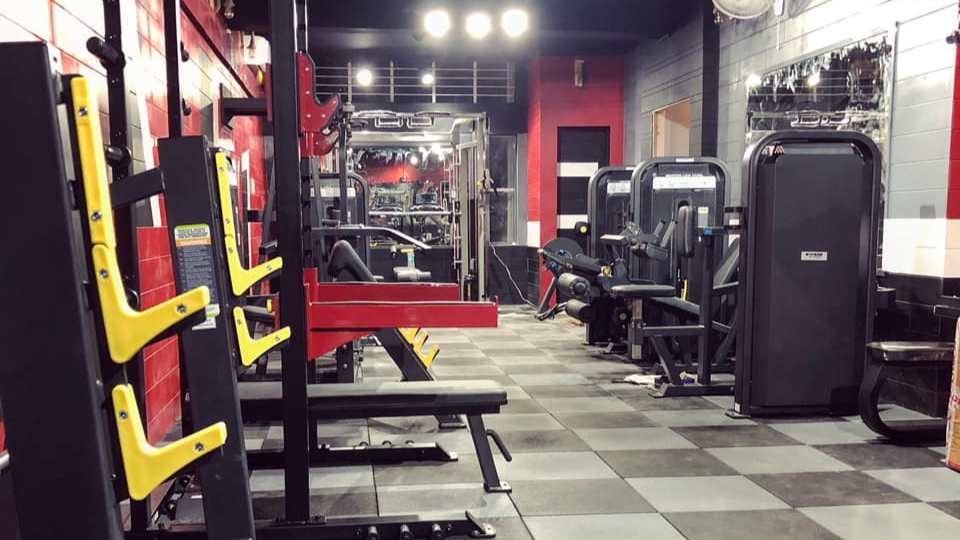 Fit Kingdom Gym & Spa Sector-4 Panchkula