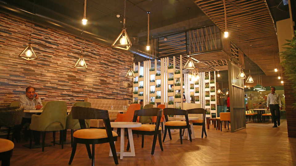 Falcon Cafe Lounge Sector-16 Panchkula