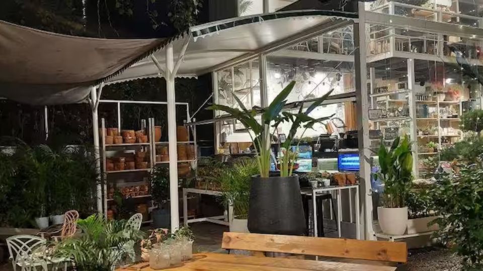 Garden Lovers Botanical Boutique and Cafe Sector 28 GURGAON
