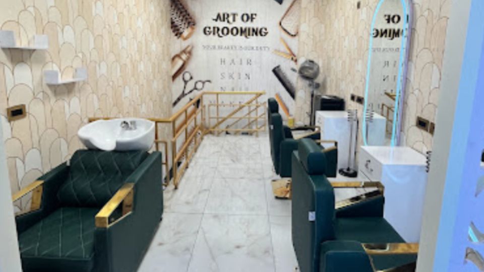 Art Of Grooming Sector 88 Mohali