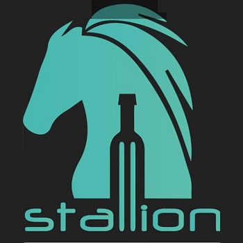 Stallion Bar- Pride Plaza Hotel Aerocity Aerocity New Delhi