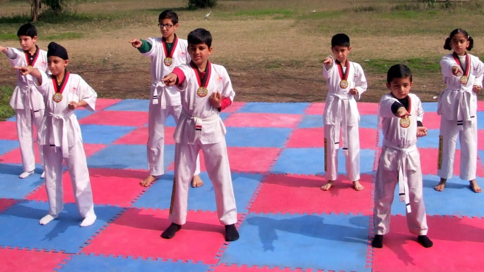 Extreme Martial Arts Fitness Sector-15 Chandigarh