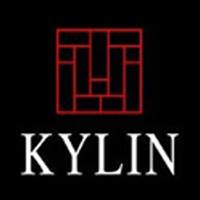 Kylin Experience