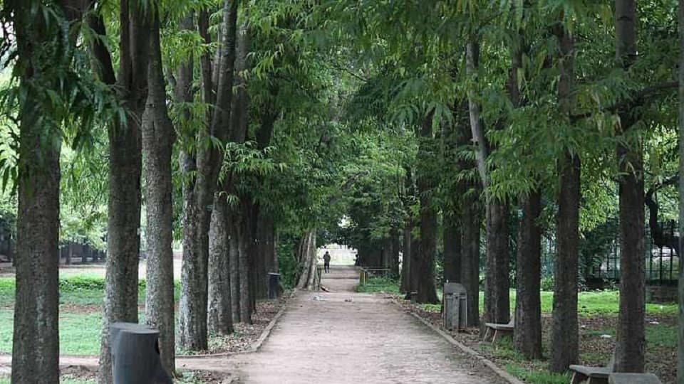 Cubbon Park  