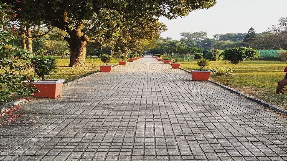 PN Mehra Botanical Garden Sector-14 Chandigarh