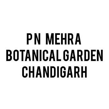 PN Mehra Botanical Garden Sector-14 Chandigarh