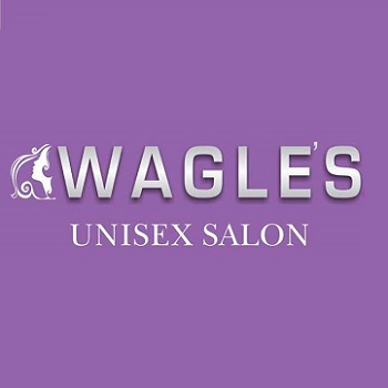 Wagles Unisex Salon Old Palasiya Indore
