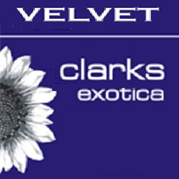 The Bridge - Velvet Clarks Exotica