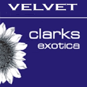 offers and deals at The Bridge - Velvet Clarks Exotica Ambala - Chandigarh National Highway in Zirakpur