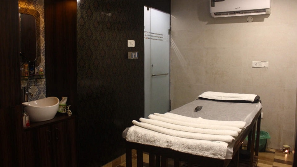 tree-spa-sector-35-chandigarh