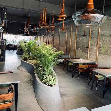 aja fresh grilled and healthy chandigarh new location