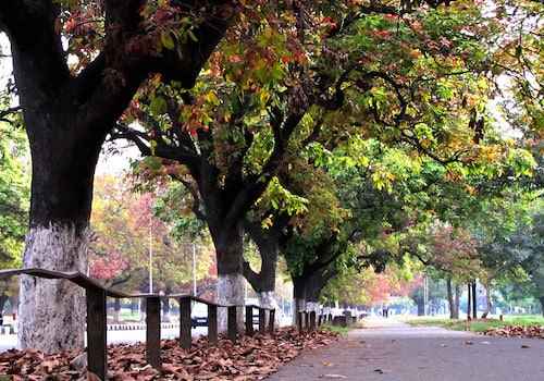 ditch other places and live in chandigarh