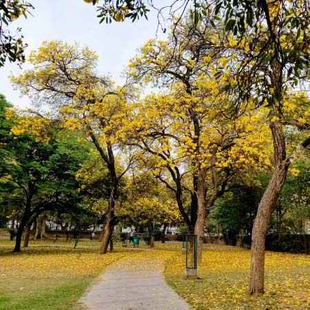 explore the charms of leisure valley chandigarh