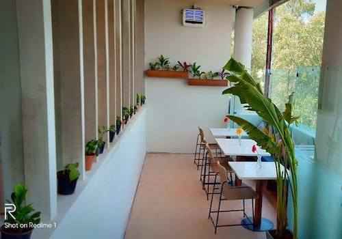 fabcafe chandigarh favorite healthy spot