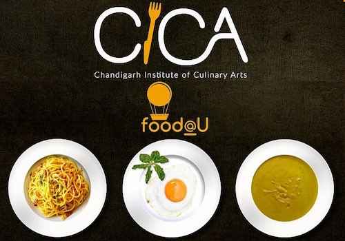 foodatu opens regions biggest kitchen in chandigarh
