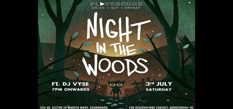night-in-the-woods-at-playground-chandigarh