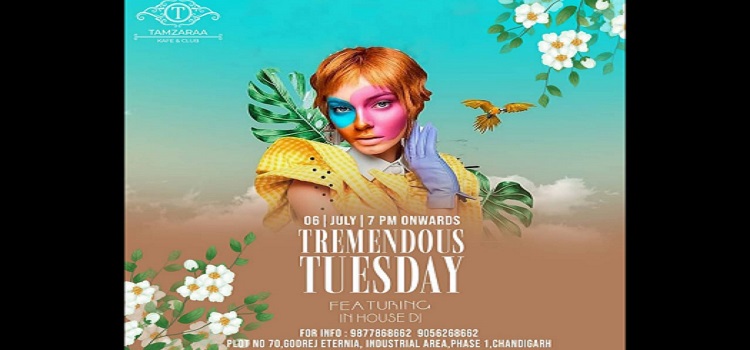 tremendous-tuesday-at-tamzaraa-chandigarh