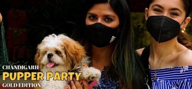 pupper-party-at-piccadilia-chandigarh