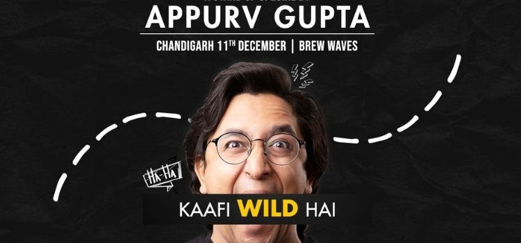 appurv-gupta-live-at-brew-waves-mohali