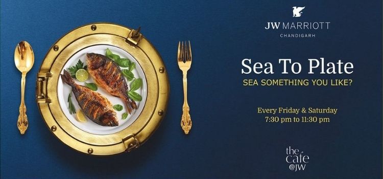 sea-to-plate-at-the-cafe-jw-marriott