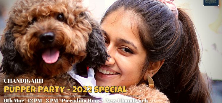 pupper-party-piccadilia-chandigarh
