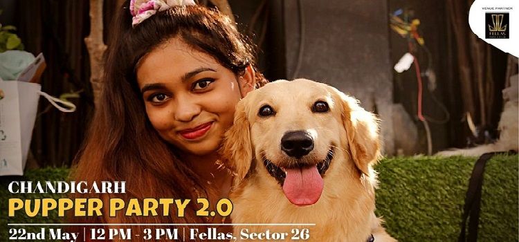 heChandigarh Pupper Party 2.0 At Fellas Chandigarh by Fellas