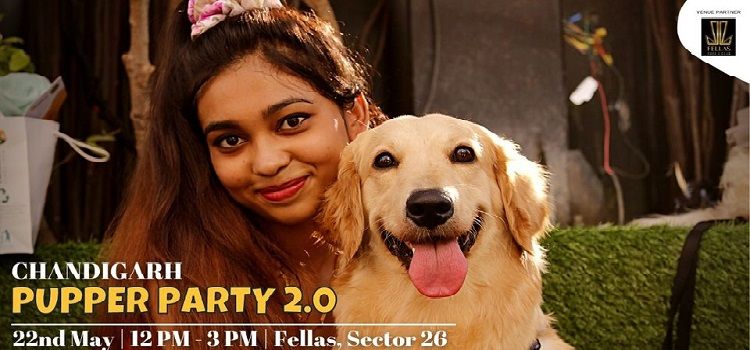 chandigarh-pupper-party-20-at-fellas-chandigarh