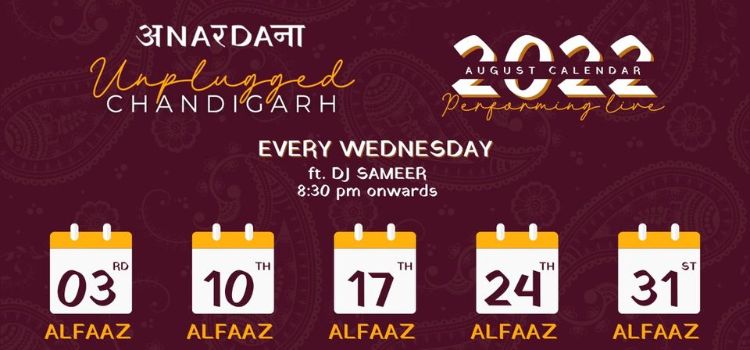 unplugged-wednesday-party-at-anardana-chandigarh