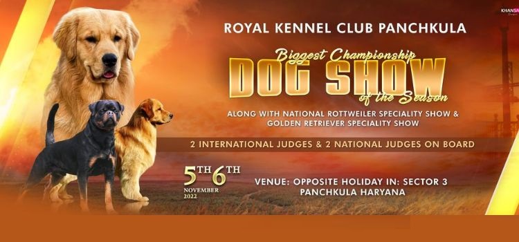 biggest-championship-dog-show-at-royal-kennel-club-panchkula
