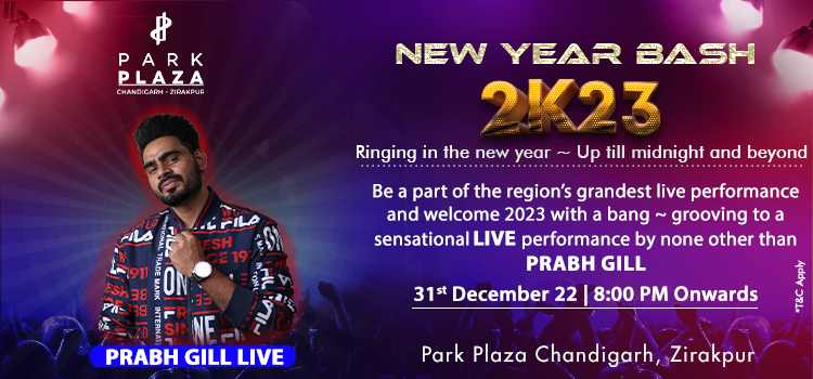 park-plaza-zirakpur-new-year-party