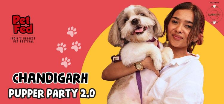 chandigarh-pupper-party-20-the-safe-house