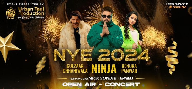 new-year-party-at-shalimar-ground-panchkula