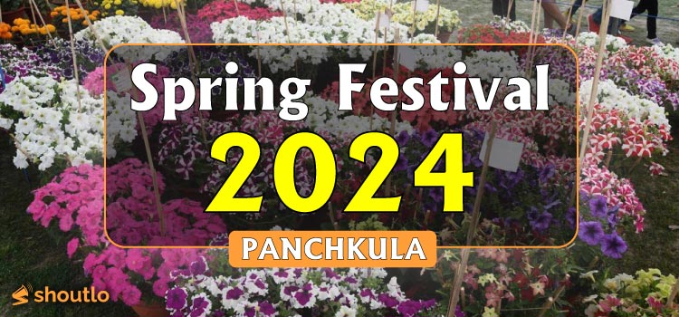 spring-festival-panchkula